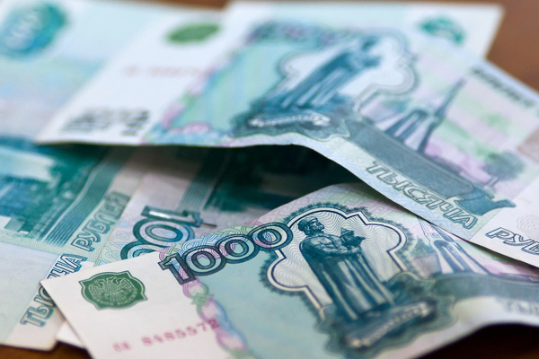 Тринадцать орловских фермеров получили 21 млн руб. господдержки