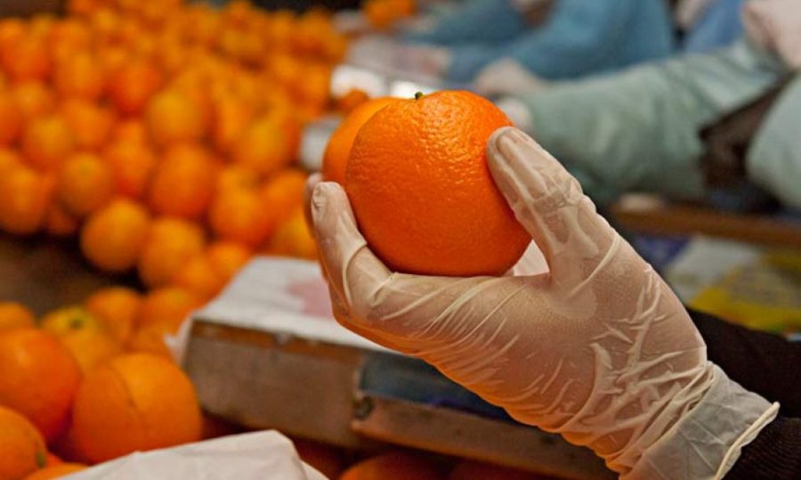Мандаринов предложение. Апельсины. Апельсины на рынке. Зараженный апельсин. Импортные фрукты.
