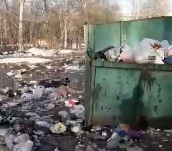 В Орле сняли на видео «мусорное» поле